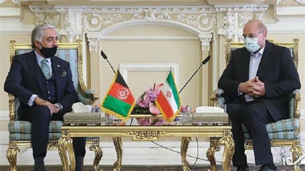  US pays no heed to security of Muslim countries: Parliament speaker 