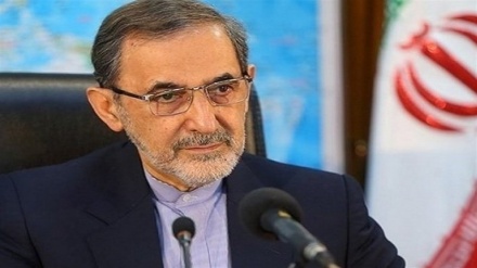 Afghan grandees insist on formation of inclusive government: Velayati