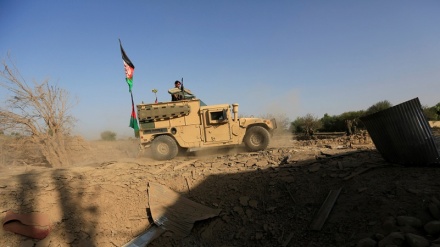 Afghan forces kill over 70 Taliban militants, detain local leader in Helmand: officials