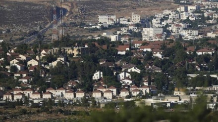 卡塔尔强调停止以色列政权定居点