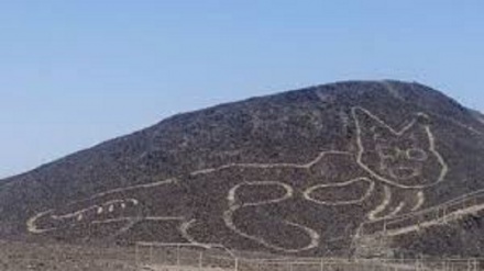 Peru', scoperto enorme disegno di gatto nel deserto di Nazca