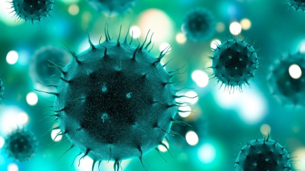 委内瑞拉12月-1月将开始新冠病毒疫苗接种