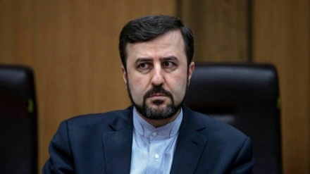 加里布·阿巴迪批评国际原子能机构总干事对伊朗的言论