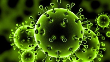 世卫组织：全球累计新冠确诊病例达39596858例