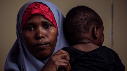  UN urges immediate action for safe return of stranded migrants amid pandemic 