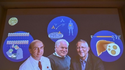 Il Nobel per la Medicina alla scoperta del virus dell'epatite C