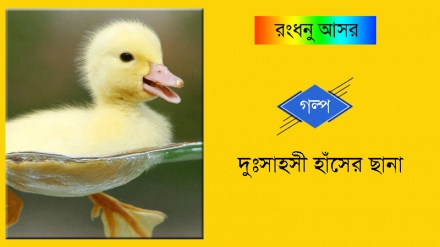 রংধনু আসর: দুঃসাহসী হাঁসের ছানা 