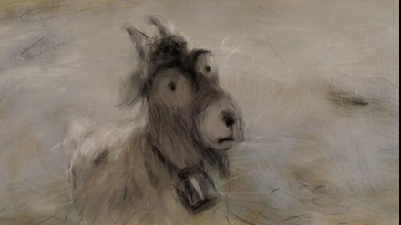 伊朗动画获得土耳其电影节最佳影片