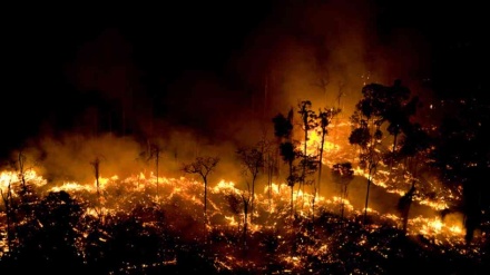 Video: Incendios forestales se aproximan a una ciudad de Brasil