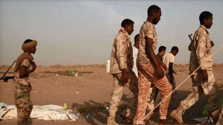 Ratusan Tentara Sudan Tiba di Saudi dan akan Dikirim ke Yaman