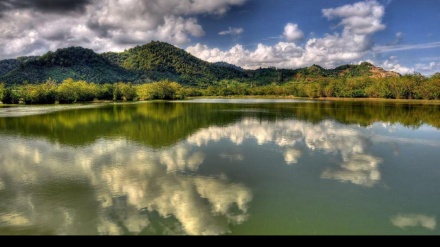 我的家乡 吉兰（7） 吉兰的埃斯蒂尔湿地（Estil Lagoon）