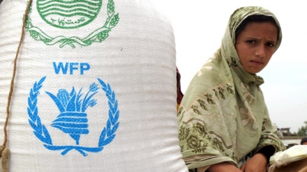 برنامه جهانی غذا برای زمستان مردم افغانستان، غذا ذخیره می‌کند