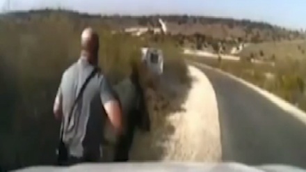 Сионистик режим полицияси ҳаракати ижтимоий тармоқларнинг кулгили сюжетига айланди (видео)