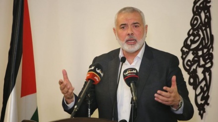 哈尼耶：历史将强烈回应企图与犹太复国主义政权关系正常化的部分阿拉伯国家