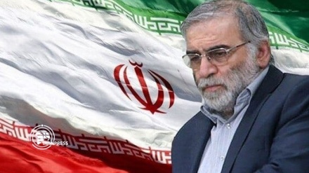 محکومیت ترور شهید فخری‌زاده از سوی اندیشمندان پاکستان
