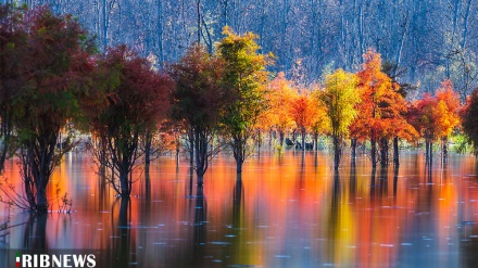 (FOTO) Nord dell'Iran, l'autunno a Sari