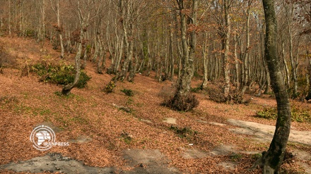 El pueblo de Deylaman en la provincia de Gilan, Irán