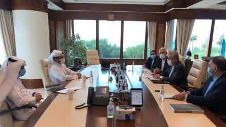 伊朗能源部长与卡塔尔埃米尔会晤；强调扩大双边关系