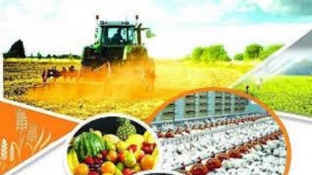 Iran: l'aumento del 26% delle esportazioni di prodotti agricoli 