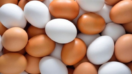 گرانی قیمت تخم مرغ در تاجیکستان به پارلمان هم کشیده شد