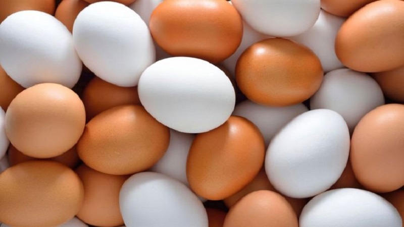 ازبکستان و قرقیزستان خواهان واردات تخم مرغ از تاجیکستان هستند