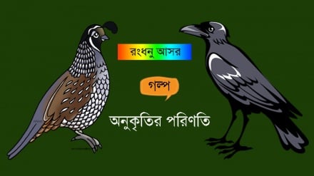 রংধনু আসর: অনুকৃতির পরিণতি