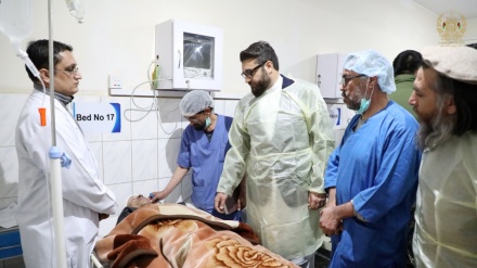 محب : طالبان مسئول اصلی کشتار مردم ملکی و بی‌گناه افغانستان 