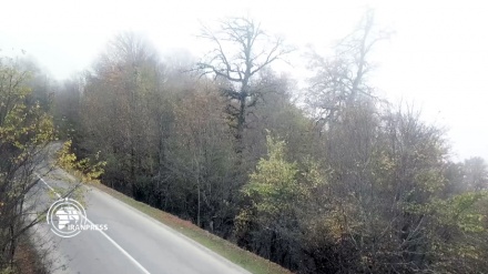 秋季马赞德兰省梦幻般的魅力