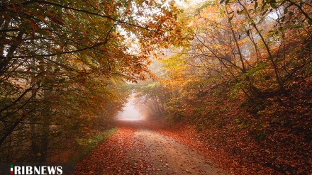 (FOTO) L'autunno e la bellezza della natura in Iran