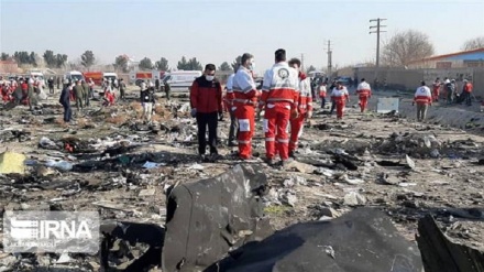 Iran may tap sovereign fund to pay compensation for downed jet: Report