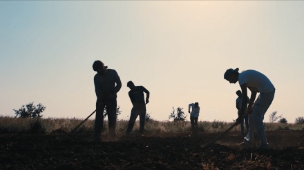 Avv. Loscerbo: 'l'immigrazione costituisce più benefici che un costo per Italia' (AUDIO)