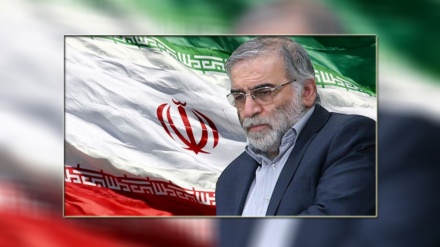 Ilmuwan Iran Gugur Syahid Diteror di Tehran