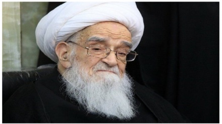 Ayetullah Safi Gulpayagani'den Hindistanlı alimin vefatıyla ilgili taziye 