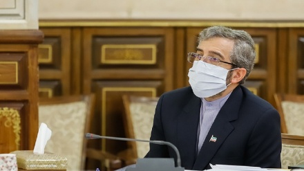 使用联合国的能力追究法赫里扎德烈士的凶手责任