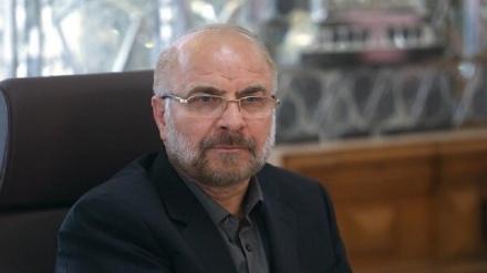  ترور دانشمند ایرانی؛ آشکارتر شدن کینه و خباثت رژیم صهیونیستی و استکبار جهانی