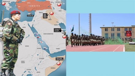 दुनिया भर के 13 देशों में तुर्की की सेना की उपस्थिति, क्या है लक्ष्य?