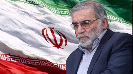 واکنش محافل بین‌المللی به ترور دانشمند هسته ای ایران