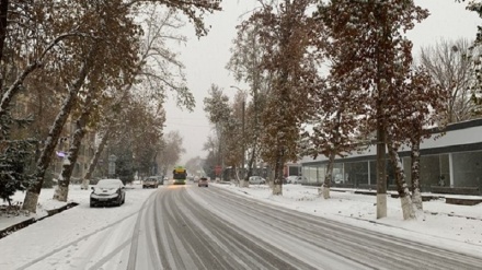 Тошкентда ёғган биринчи қор (фотожамланма)