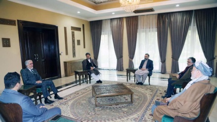 تاکید سیاسیون افغانستان بر انسجام نیروهای سیاسی برای موفقیت پروسه صلح 