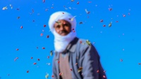 イランで、バーベリーの実の収穫シーズンが到来　