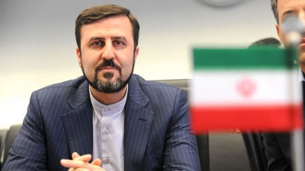  ‘AIEA es responsable ante Irán, cuyos científicos son asesinados’ 
