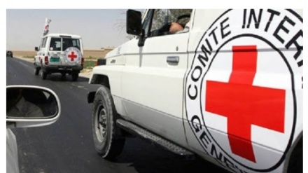 Uluslararası Kızılhaç Komitesi Temsilcilerinin Ermeni Tutsaklar ile Görüşmesi 