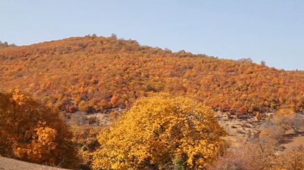 イラン東部シャーフルード市内の秋の美景