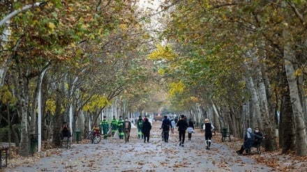 Keindahan Taman-taman di Mashhad pada Musim Gugur (2)