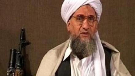 کشته شدن رهبر القاعده؛ هیاهو برای هیچ