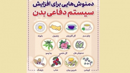 Дамнӯшҳое барои афзоиши системаи дифоии бадан