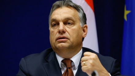 Macaristan Parlamento Seçimlerinin Sonuçları 