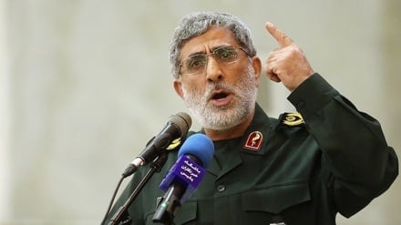 卡尼少将：法赫里扎德的牺牲事件暴露了虚假的人权支持者的嘴脸