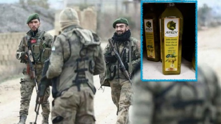 Turchia ruba olio d'oliva siriano e lo esporta negli Ua come suo prodotto