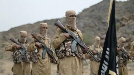 Yemeni security forces kill high-profile Daesh terrorist in southern Ibb Province